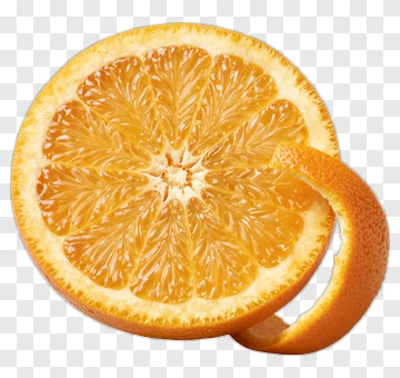Fresh Orange Slice With Peel PNG