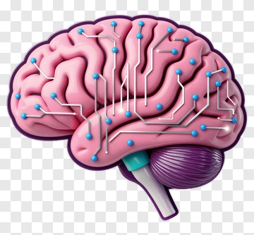 3D Brain With Circuit Design PNG