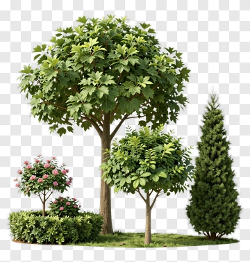 Realistic Tree And Shrubs In A Garden Setting PNG