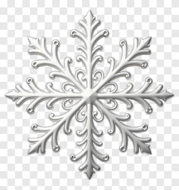 Silver Snowflake With Intricate Patterns PNG