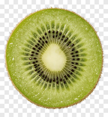 Sliced Kiwi Fruit PNG