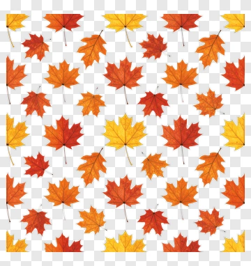 Colorful Maple Leaves PNG