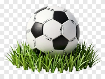 Soccer Ball On Grass PNG