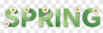Spring Text With Daisies PNG