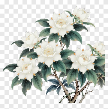 White Flowering Plant With Green Leaves PNG