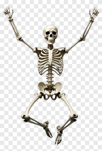 Cartoon Skeleton Jumping With Arms Raised PNG