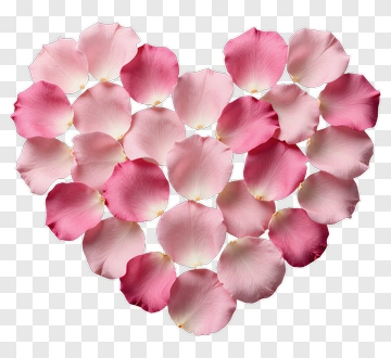 Heart Shape Made Of Pink Rose Petals PNG