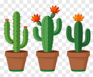 Colorful Cacti In Pots PNG