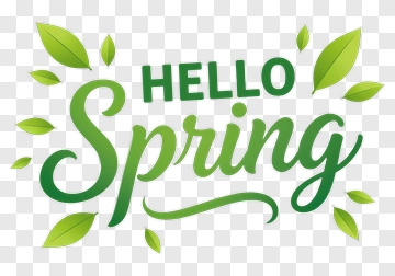 Hello Spring Text With Green Leaves PNG