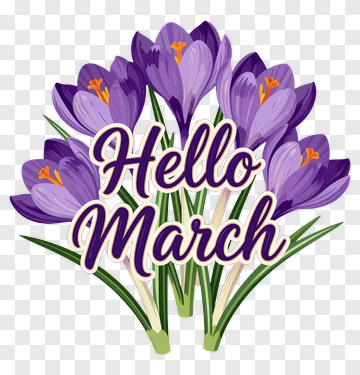 Hello March With Purple Crocuses PNG
