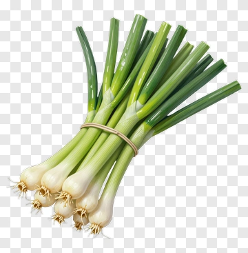 Bunch Of Green Onions PNG