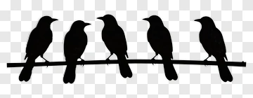Silhouette Of Five Birds On A Branch PNG
