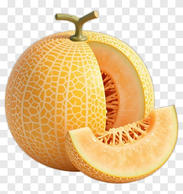 Fresh Cantaloupe With A Slice PNG