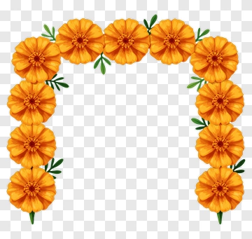 Colorful Floral Frame With Orange Flowers PNG