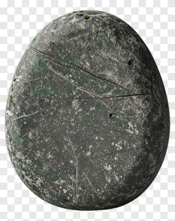 Textured Stone Egg PNG