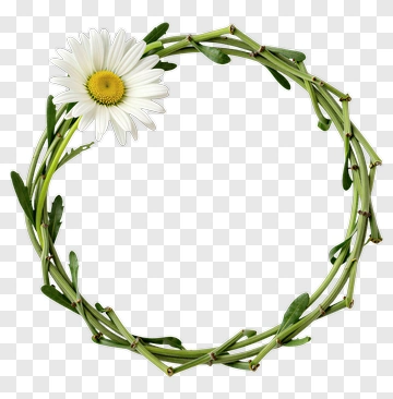 Daisy Flower Wreath PNG