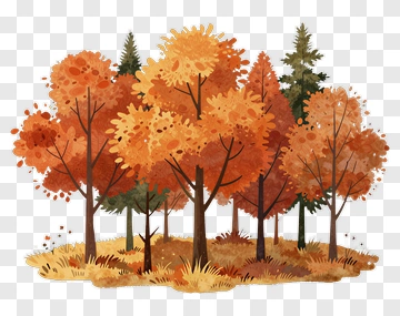 Autumn Forest With Colorful Trees PNG