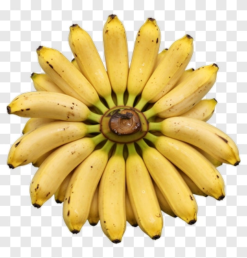 Bunch Of Bananas Arranged In A Circular Pattern PNG