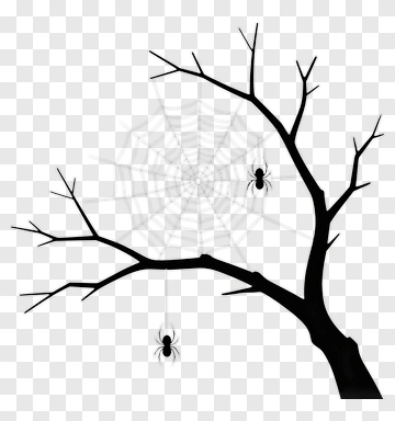 Spider Web On A Bare Tree Branch PNG
