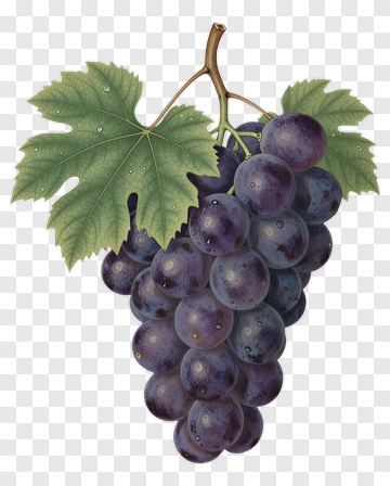 Realistic Bunch Of Grapes With Leaves PNG