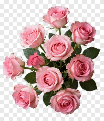 Bouquet Of Pink Roses PNG