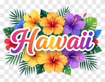 Colorful Hawaii Floral Design PNG