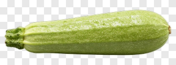 Fresh Green Zucchini PNG
