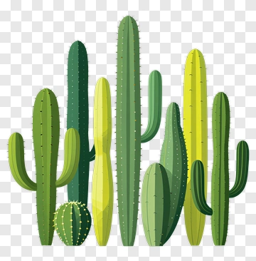 Cactus Collection PNG
