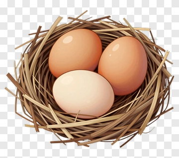 Nest With Three Eggs PNG