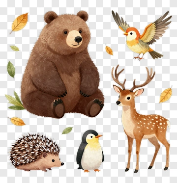 Cartoon Forest Animals Including Bear, Deer, And Bird PNG