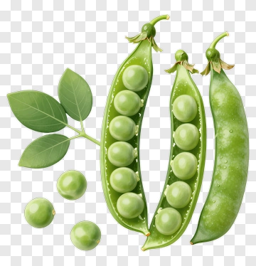Green Peas And Pod With Leaves PNG