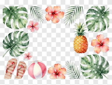 Tropical Frame With Pineapple And Hibiscus Flowers PNG