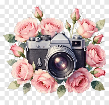 Vintage Camera Surrounded By Pink Roses PNG