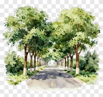 Watercolor Tree-Lined Road PNG