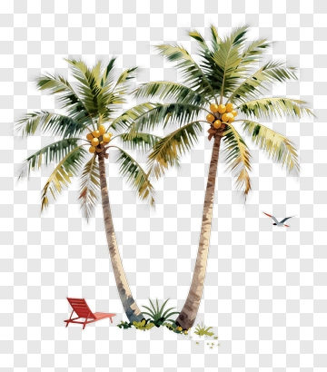 Tropical Palm Trees With A Beach Chair PNG