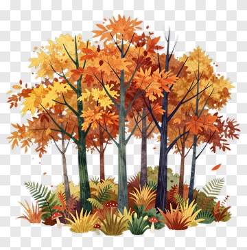 Colorful Autumn Forest PNG