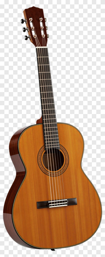Acoustic Guitar PNG