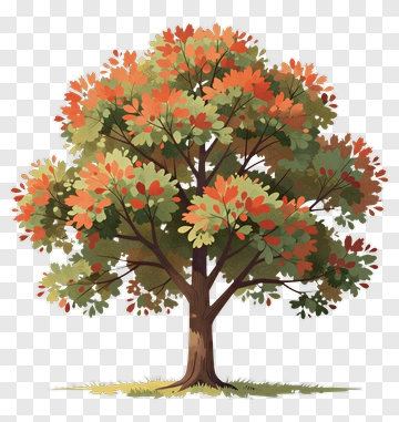 Colorful Tree With Autumn Leaves PNG