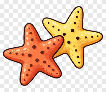 Colorful Starfish PNG