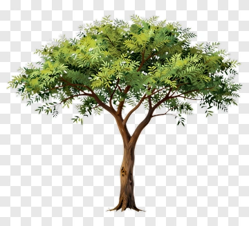 Colorful Tree PNG