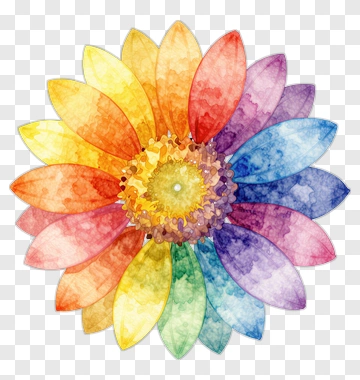 Colorful Watercolor Flower PNG