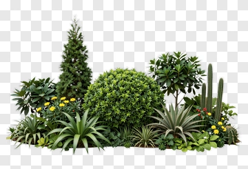 Variety Of Green Plants And Trees PNG
