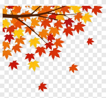 Colorful Autumn Leaves On A Branch PNG