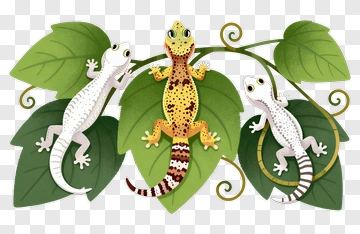 Colorful Geckos On Green Leaves PNG
