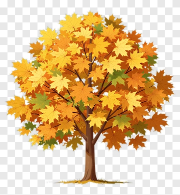 Colorful Maple Tree PNG
