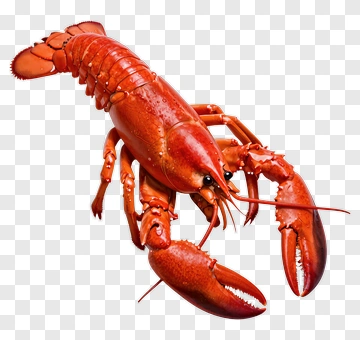 Red Lobster PNG
