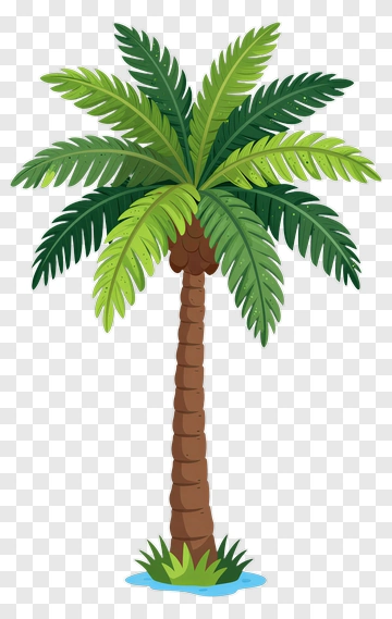 Colorful Palm Tree PNG