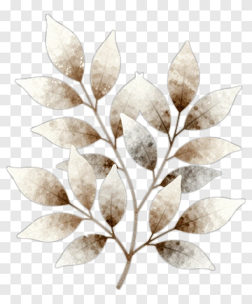 Vintage Watercolor Leaf Branch PNG