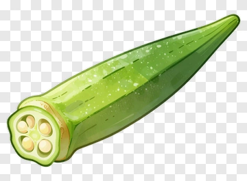 Fresh Okra Vegetable PNG