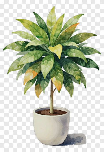 Colorful Potted Plant PNG